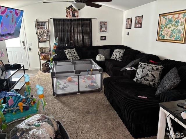 New Madrid Indians 1st Addition - Residential