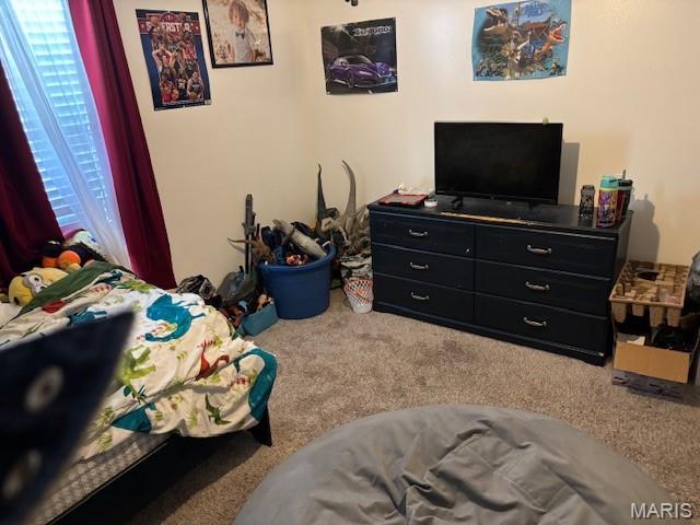 New Madrid Indians 1st Addition - Residential
