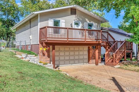 10583 Mert Avenue St Ann MO 63074