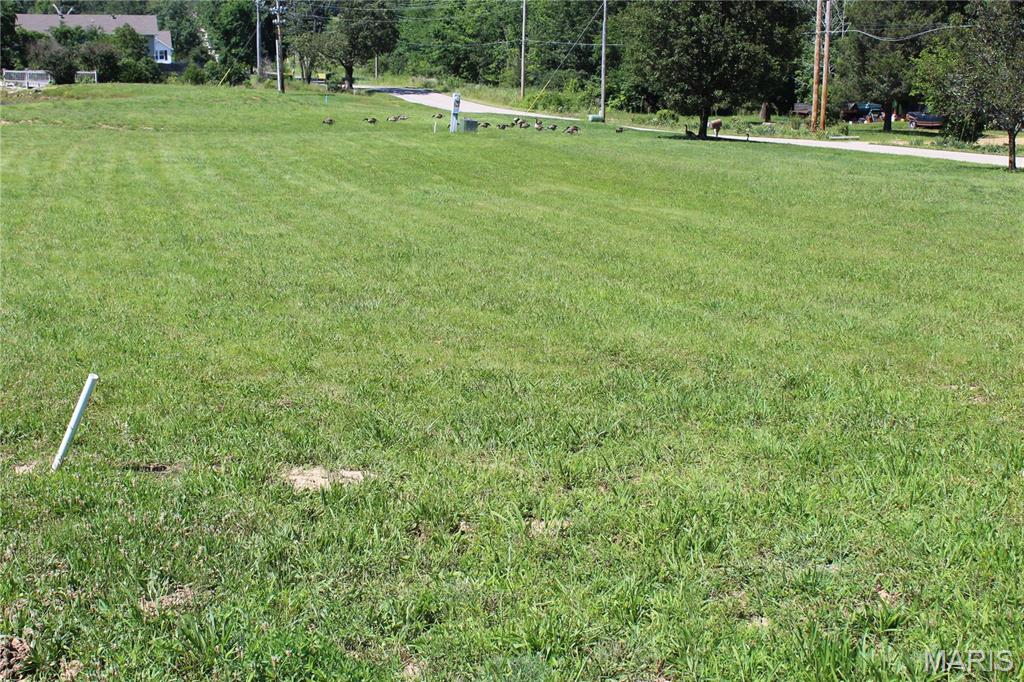 Mallard Pointe Sub - Land