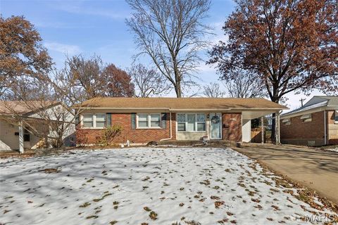 Photo of 4423 Little Chief Drive, St Louis, MO 63123 (MLS # 25079800)