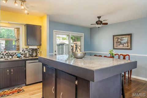 Tiny photo for 815 Hill Street, Washington, MO 63090 (MLS # 26029683)