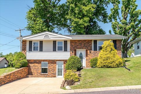 Tiny photo for 815 Hill Street, Washington, MO 63090 (MLS # 26029683)