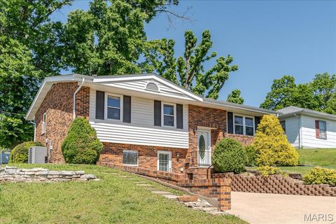 Photo of 815 Hill Street, Washington, MO 63090 (MLS # 26029683)