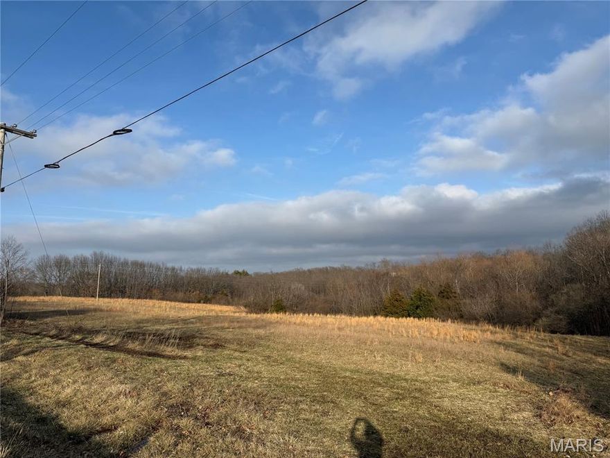 31 Pasture/Wooded Ground right off Black top. You choose 10 ac, 15 ac or all 31 acres 9500.00 per acre. Public water, Cuvier River Electric. No Restrictions. House can stay or seller will remove for you.