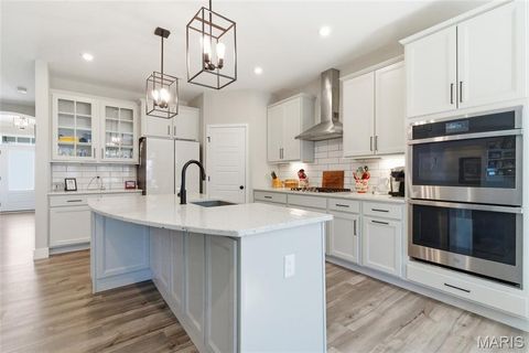 Tiny photo for 2 Spinney Bough Court, Wentzville, MO 63385 (MLS # 26027316)