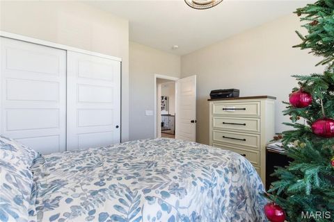 Tiny photo for 2 Spinney Bough Court, Wentzville, MO 63385 (MLS # 26027316)