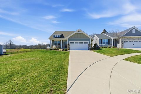 Tiny photo for 2 Spinney Bough Court, Wentzville, MO 63385 (MLS # 26027316)