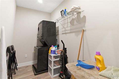 Tiny photo for 2 Spinney Bough Court, Wentzville, MO 63385 (MLS # 26027316)