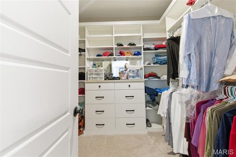 Tiny photo for 2 Spinney Bough Court, Wentzville, MO 63385 (MLS # 26027316)