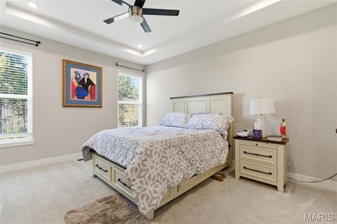Tiny photo for 2 Spinney Bough Court, Wentzville, MO 63385 (MLS # 26027316)