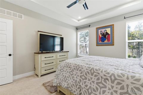 Tiny photo for 2 Spinney Bough Court, Wentzville, MO 63385 (MLS # 26027316)
