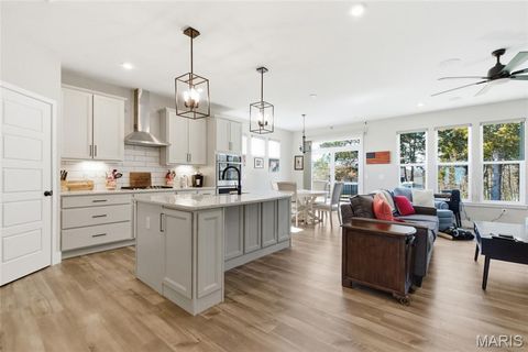 Tiny photo for 2 Spinney Bough Court, Wentzville, MO 63385 (MLS # 26027316)