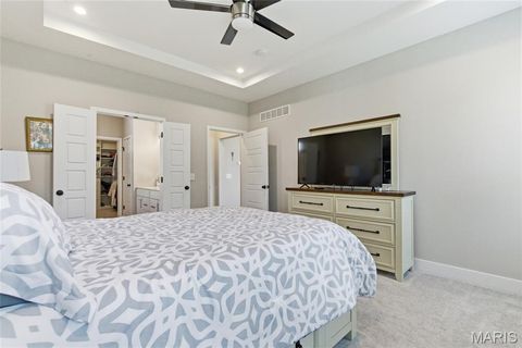Tiny photo for 2 Spinney Bough Court, Wentzville, MO 63385 (MLS # 26027316)