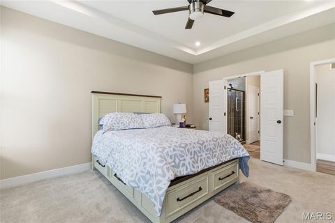 Tiny photo for 2 Spinney Bough Court, Wentzville, MO 63385 (MLS # 26027316)