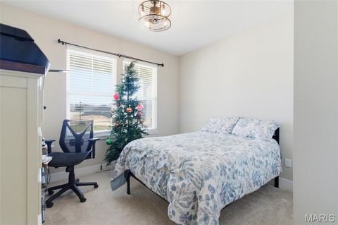 Tiny photo for 2 Spinney Bough Court, Wentzville, MO 63385 (MLS # 26027316)