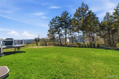 Tiny photo for 2 Spinney Bough Court, Wentzville, MO 63385 (MLS # 26027316)