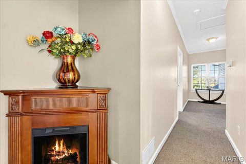 Tiny photo for 2107 Dartmouth Place Drive, Wildwood, MO 63011 (MLS # 25076389)