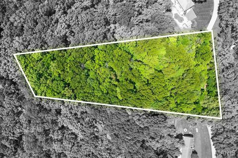 Tiny photo for 0 Green Valley Drive, High Ridge, MO 63049 (MLS # 26030862)