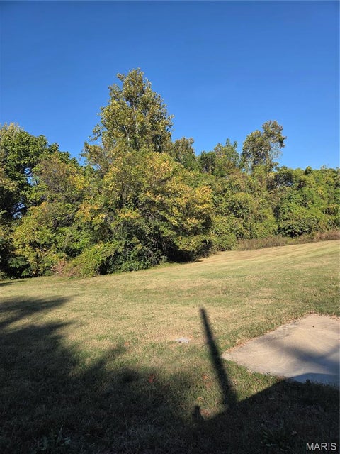 Photo of 35 E Allison Avenue, Webster Groves, MO 63119 (MLS # 26066082)