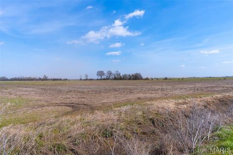 Tiny photo for 000 CR 820 #1, Matthews, MO 63867 (MLS # 26020527)