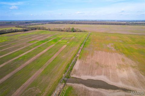 Tiny photo for 000 CR 820 #1, Matthews, MO 63867 (MLS # 26020527)