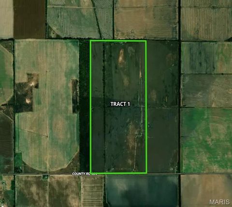 Tiny photo for 000 CR 820 #1, Matthews, MO 63867 (MLS # 26020527)