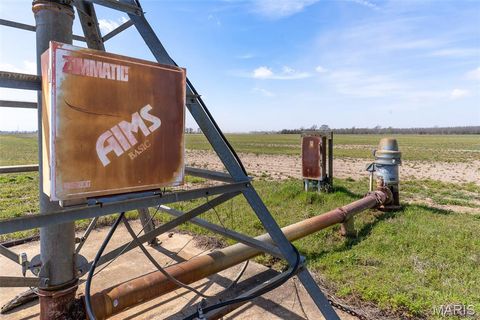 Tiny photo for 000 CR 820 #1, Matthews, MO 63867 (MLS # 26020527)