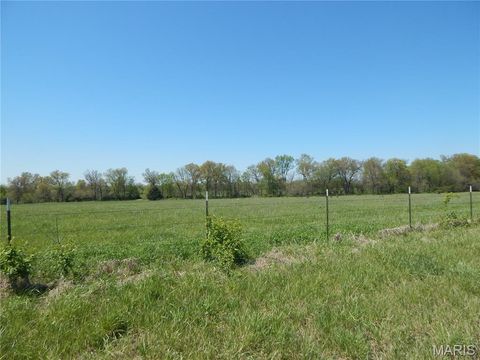 Tiny photo for 11116 Pike 466, Bowling Green, MO 63334 (MLS # 26024702)