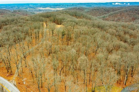 1115 Ridge Road Wildwood MO 63021