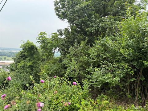 Tiny photo for 13010 Big Bend Road, St Louis, MO 63122 (MLS # 26004087)