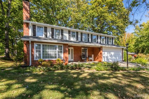 8853 Raleigh Drive St Louis MO 63123