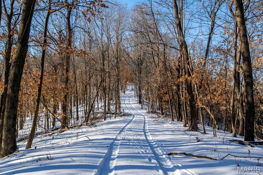 Photo of 00 Talley Road, Hartsburg, MO 65039 (MLS # 26014067)