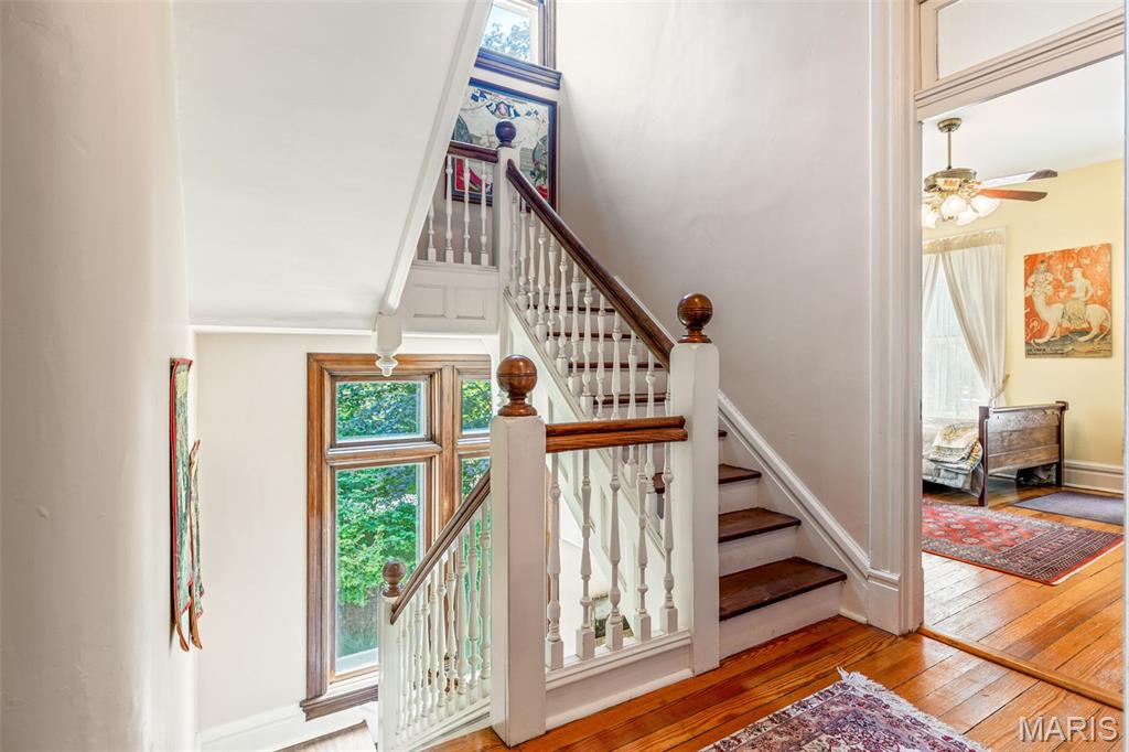 Webster Park - Residential