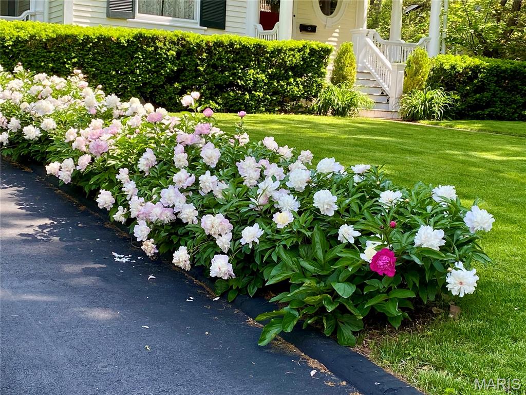 Webster Park - Residential