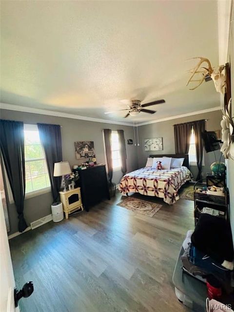 Tiny photo for 265 W Click Avenue, Puxico, MO 63960 (MLS # 26028768)