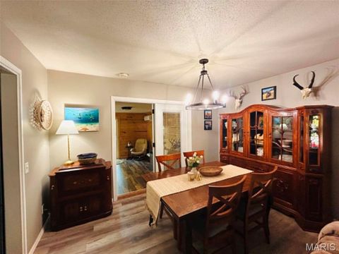 Tiny photo for 265 W Click Avenue, Puxico, MO 63960 (MLS # 26028768)