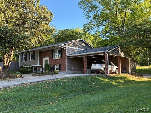 Photo of 265 W Click Avenue, Puxico, MO 63960 (MLS # 26028768)