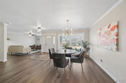 Tiny photo for 505 Glenmeadow Drive, Ballwin, MO 63011 (MLS # 26018021)