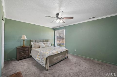 Tiny photo for 505 Glenmeadow Drive, Ballwin, MO 63011 (MLS # 26018021)