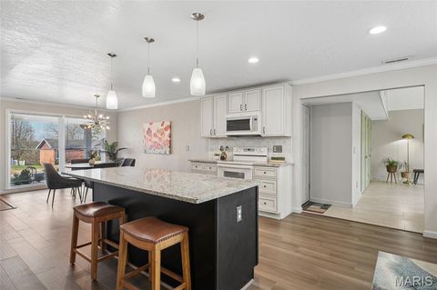 Tiny photo for 505 Glenmeadow Drive, Ballwin, MO 63011 (MLS # 26018021)