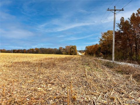 Tiny photo for 20 Stamer Rd., Wright City, MO 63390 (MLS # 25075677)