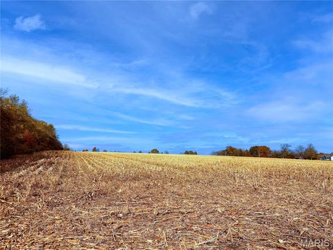 Photo of 20 Stamer Rd., Wright City, MO 63390 (MLS # 25075677)