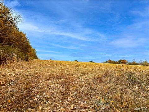 Tiny photo for 20 Stamer Rd., Wright City, MO 63390 (MLS # 25075677)