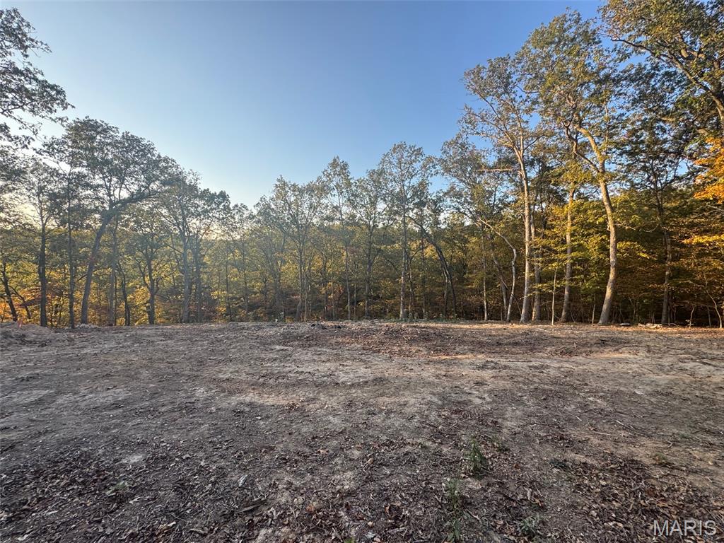 161 Steeple Point Drive