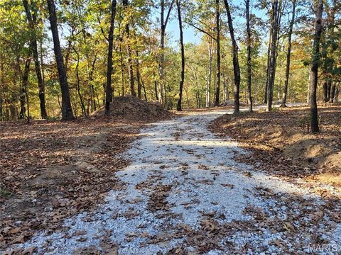 161 Steeple Point Drive Defiance MO 63341