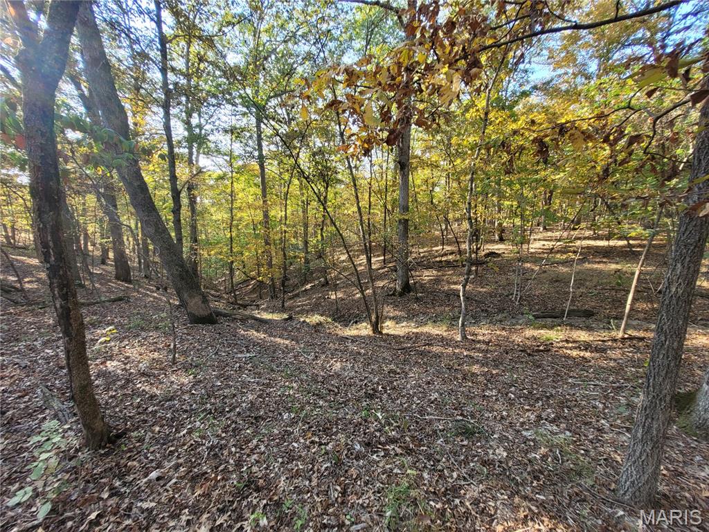 161 Steeple Point Drive