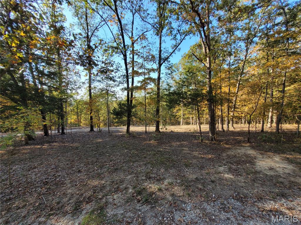 161 Steeple Point Drive