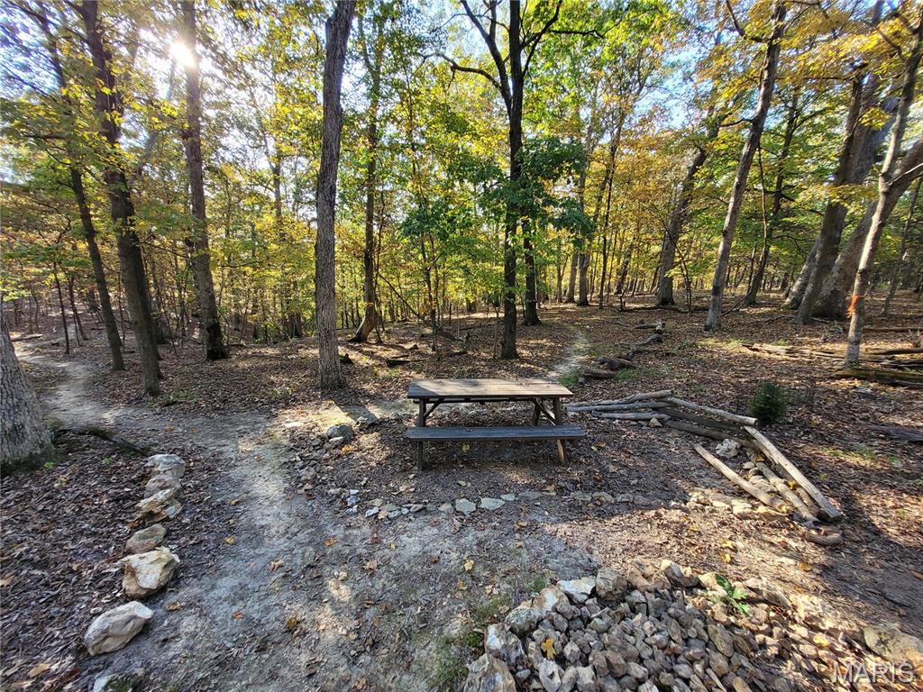 161 Steeple Point Drive