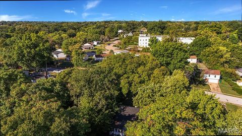Tiny photo for 546 Holland Avenue, Webster Groves, MO 63119 (MLS # 25066244)